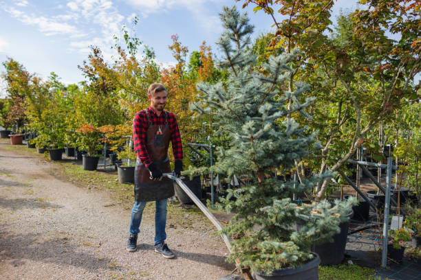 Trusted Fairport Harbor, OH Tree Removal Experts