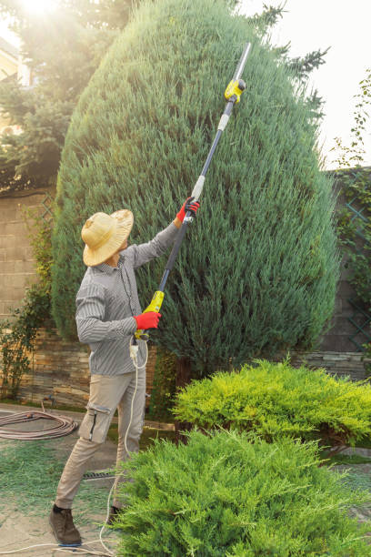 Best Tree and Shrub Care  in Fairport Harbor, OH